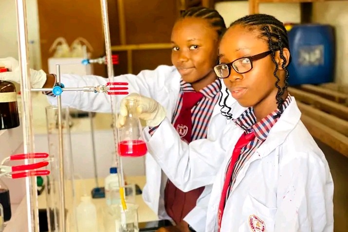 Science Fair